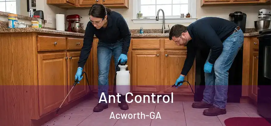  Ant Control Acworth-GA