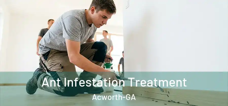  Ant Infestation Treatment Acworth-GA