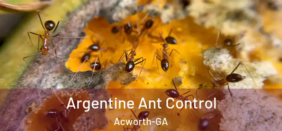  Argentine Ant Control Acworth-GA