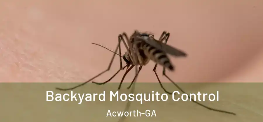  Backyard Mosquito Control Acworth-GA