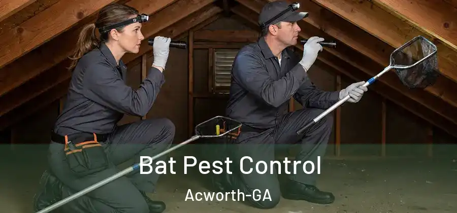 Bat Pest Control Acworth-GA