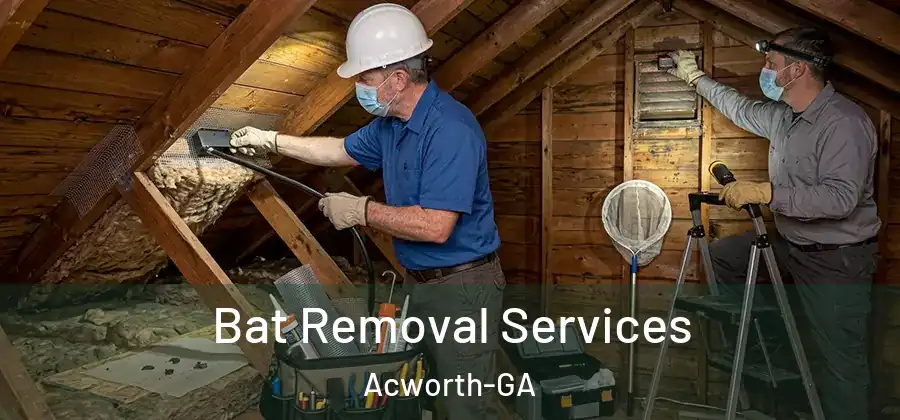 Bat Removal Services Acworth-GA