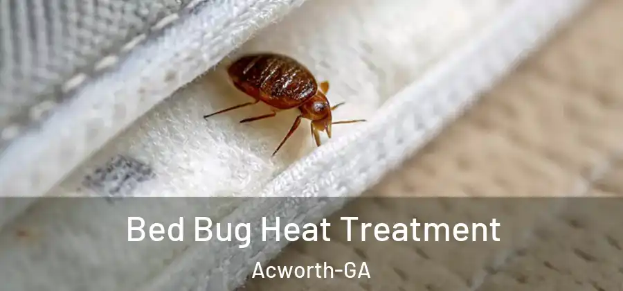  Bed Bug Heat Treatment Acworth-GA