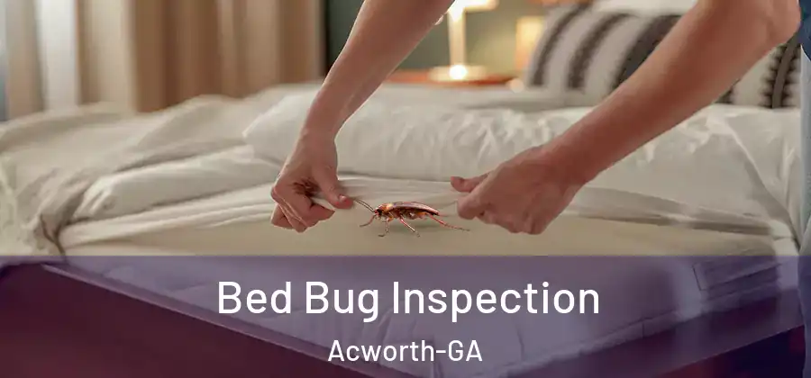  Bed Bug Inspection Acworth-GA