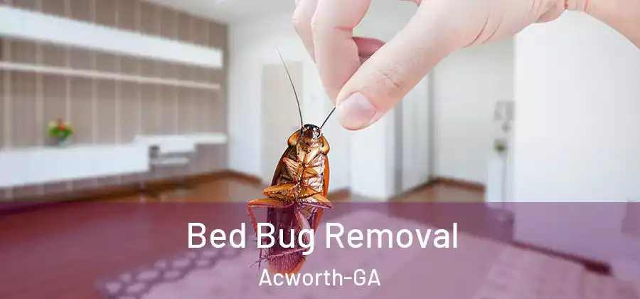  Bed Bug Removal Acworth-GA