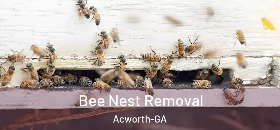  Bee Nest Removal Acworth-GA