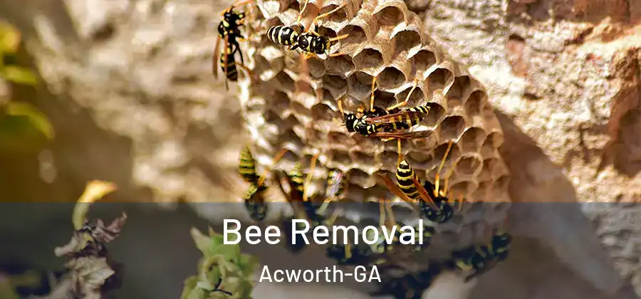 Bee Removal Acworth-GA
