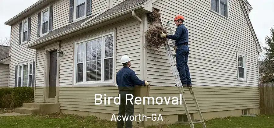 Bird Removal Acworth-GA