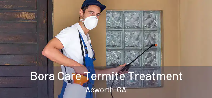  Bora Care Termite Treatment Acworth-GA