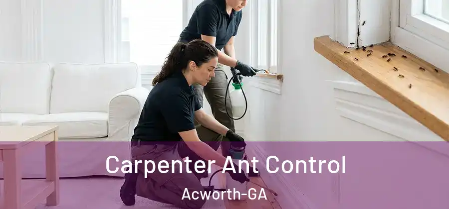  Carpenter Ant Control Acworth-GA