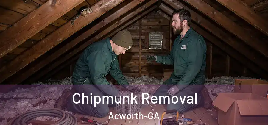 Chipmunk Removal Acworth-GA
