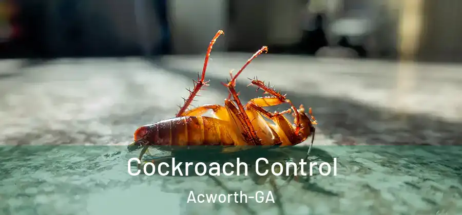Cockroach Control Acworth-GA