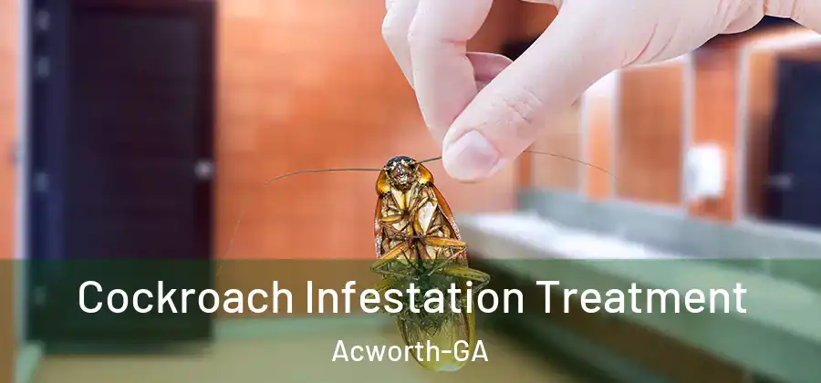 Cockroach Infestation Treatment Acworth-GA
