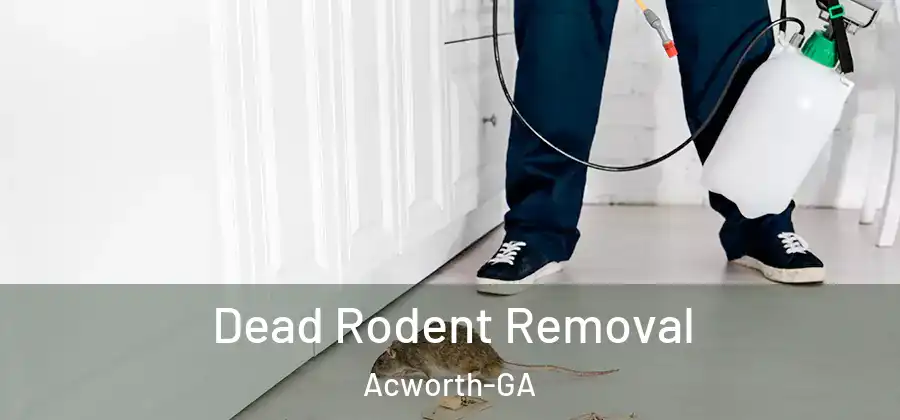 Dead Rodent Removal Acworth-GA