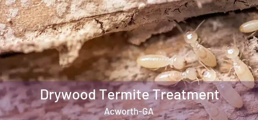 Drywood Termite Treatment Acworth-GA