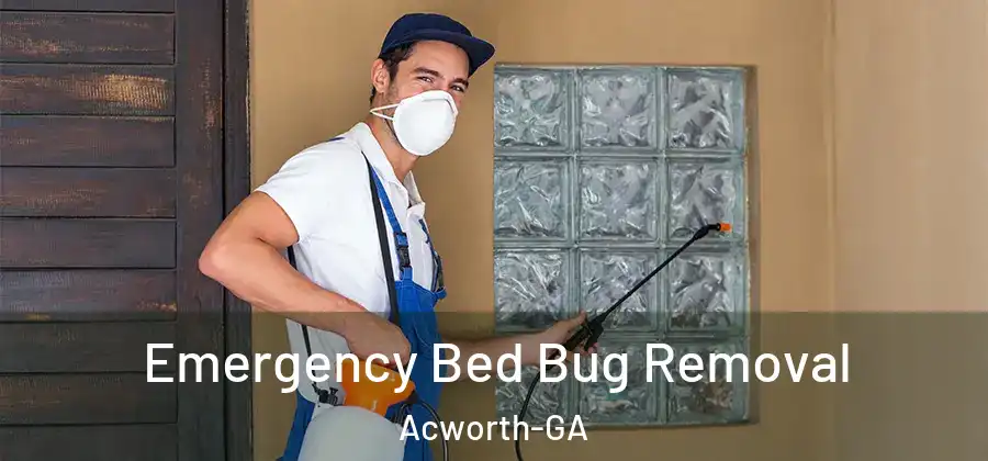  Emergency Bed Bug Removal Acworth-GA