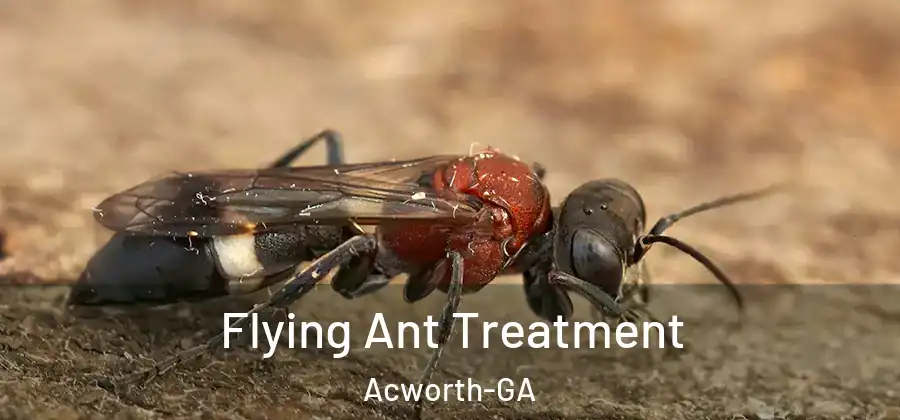  Flying Ant Treatment Acworth-GA