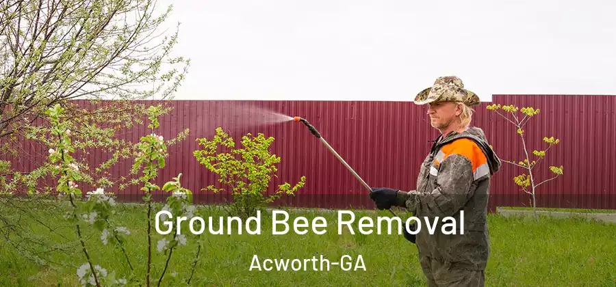  Ground Bee Removal Acworth-GA