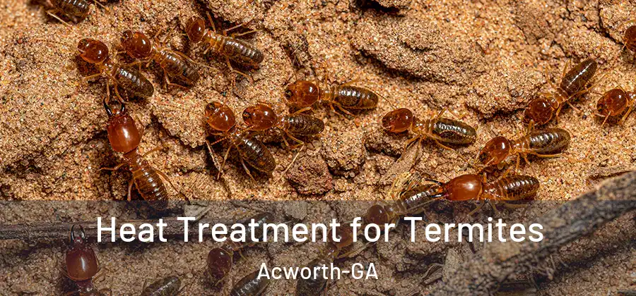 Heat Treatment for Termites Acworth-GA