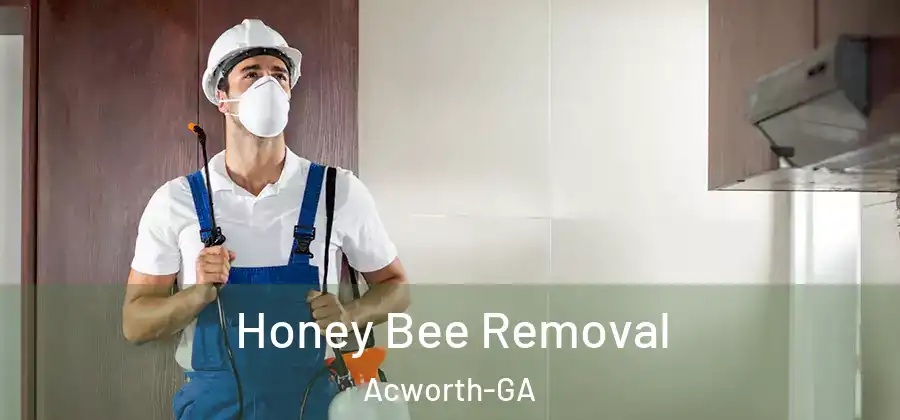Honey Bee Removal Acworth-GA