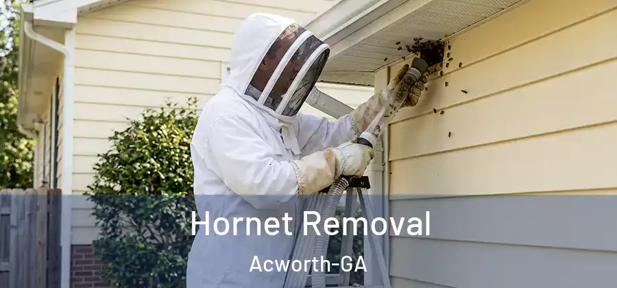 Hornet Removal Acworth-GA