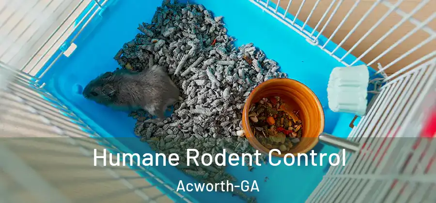  Humane Rodent Control Acworth-GA