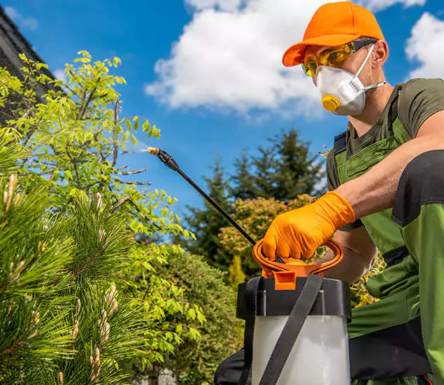 Your Best Bug Spray for Home Team in Acworth, GA