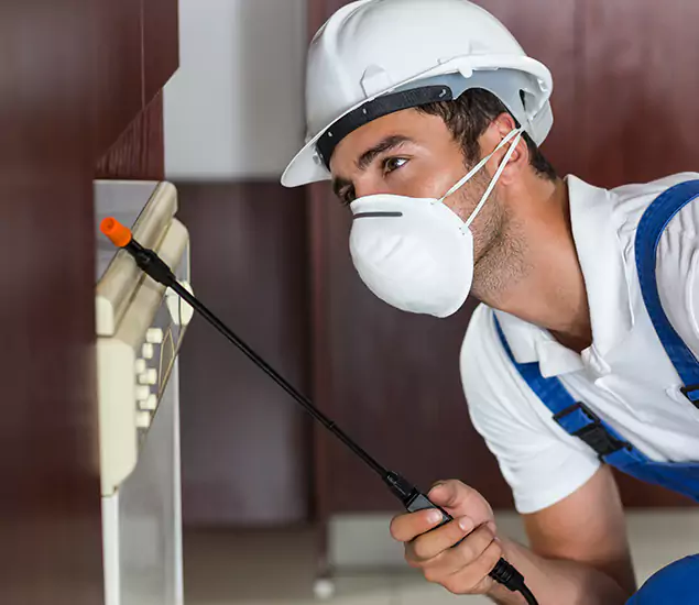 Expert Cockroach Exterminator: Your Roach Control Services in Acworth, GA