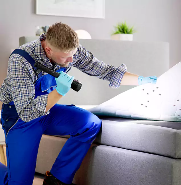 Why Choose Acworth Pest Control Services For Bed Bug Heat Treatment in Acworth, GA?