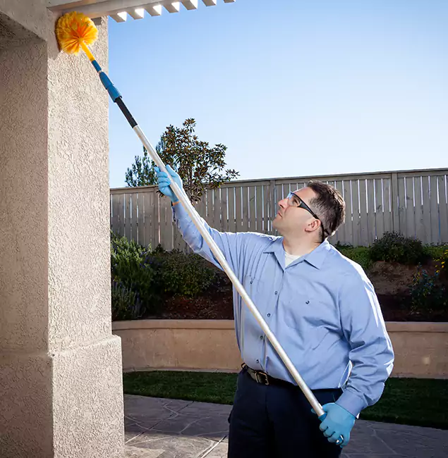 Why Choose Acworth Pest Control Services for Foundation Termite Treatment in Acworth, GA?