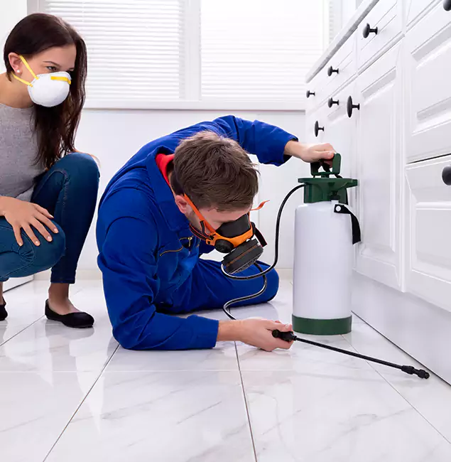 Why Acworth, GA Homeowners Trust Acworth Pest Control Services for Roach Control?