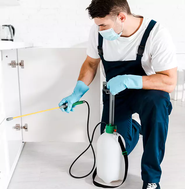 Why Choose Acworth Pest Control Services for Indoor Pest Control in Acworth, GA?