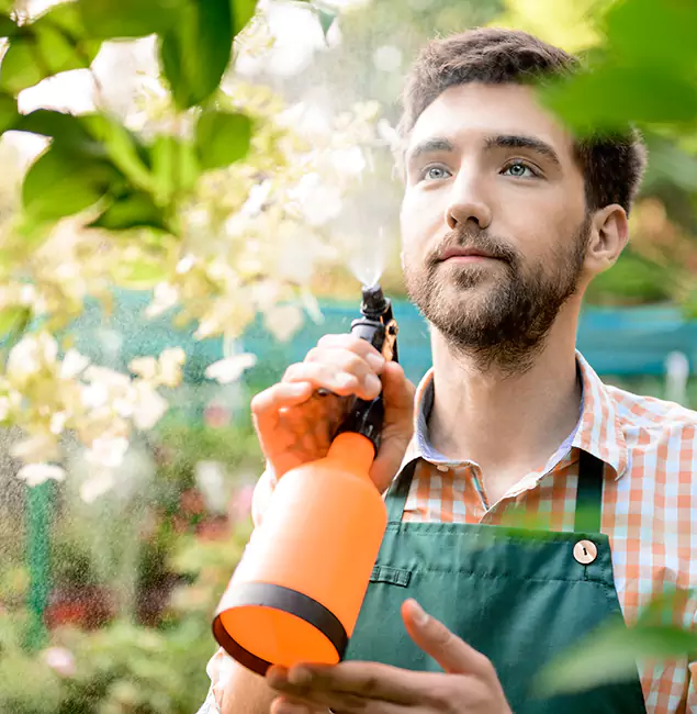 Why Acworth Pest Control Services Is the Best Mosquito Control Company in Acworth, GA?
