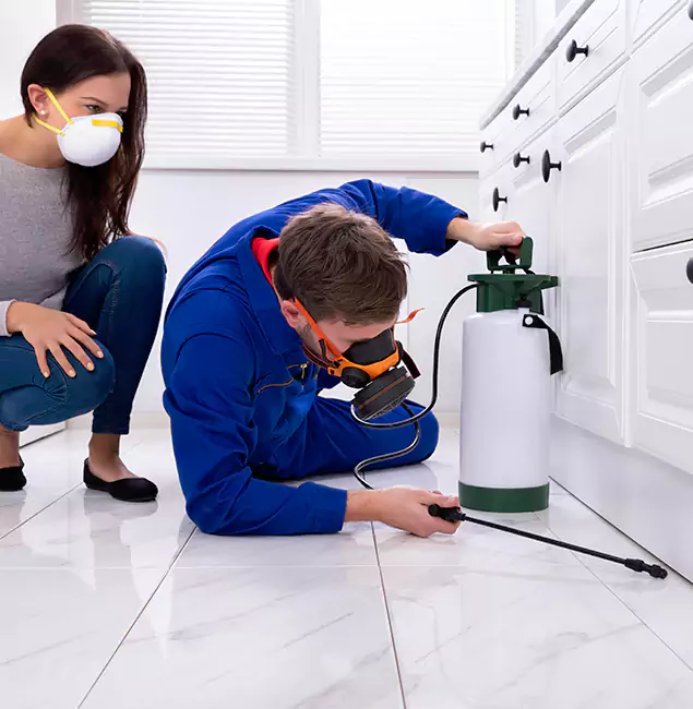 Why Choose Wood Termite Treatment by Acworth Pest Control Services in Acworth, GA?