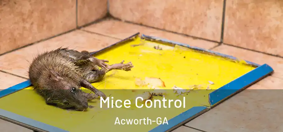 Mice Control Acworth-GA