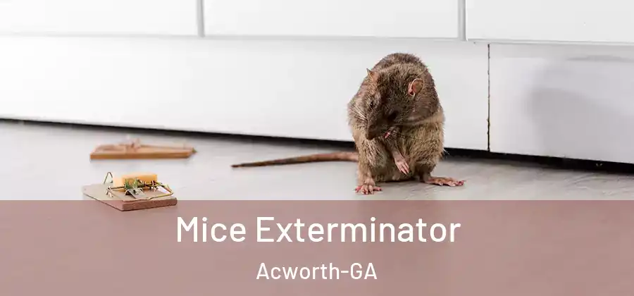  Mice Exterminator Acworth-GA