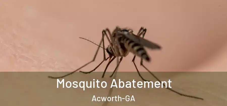 Mosquito Abatement Acworth-GA