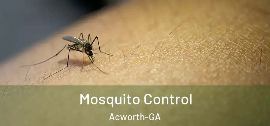  Mosquito Control Acworth-GA