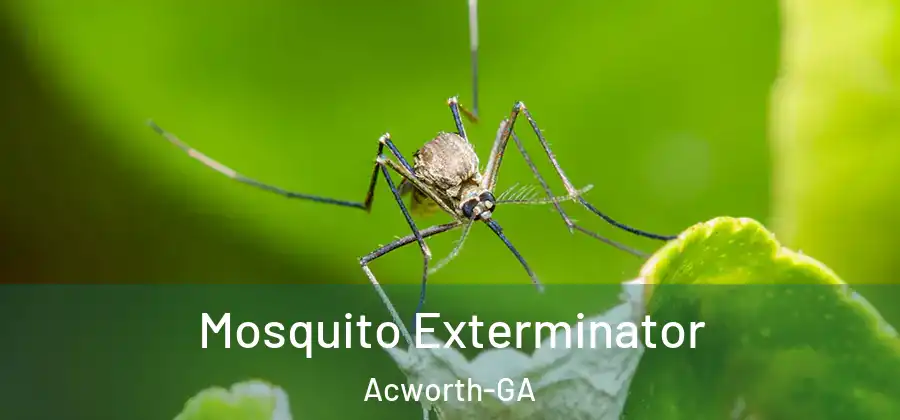 Mosquito Exterminator Acworth-GA