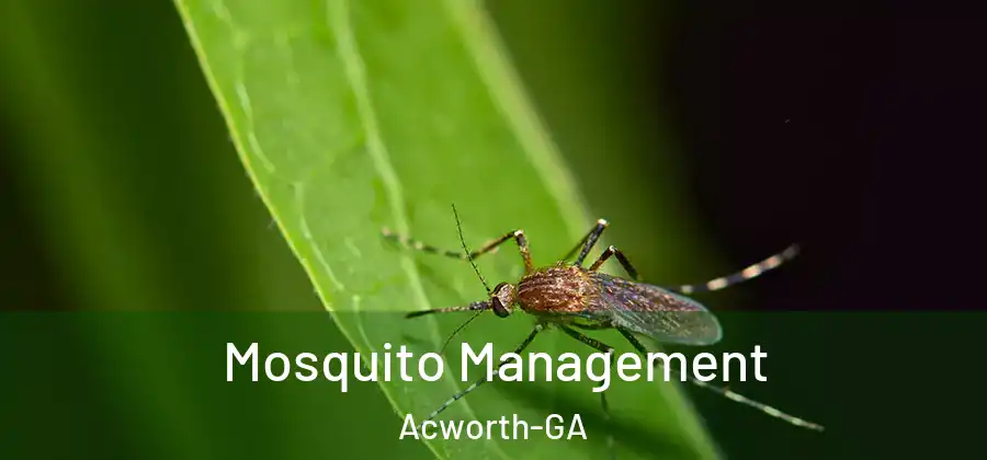 Mosquito Management Acworth-GA