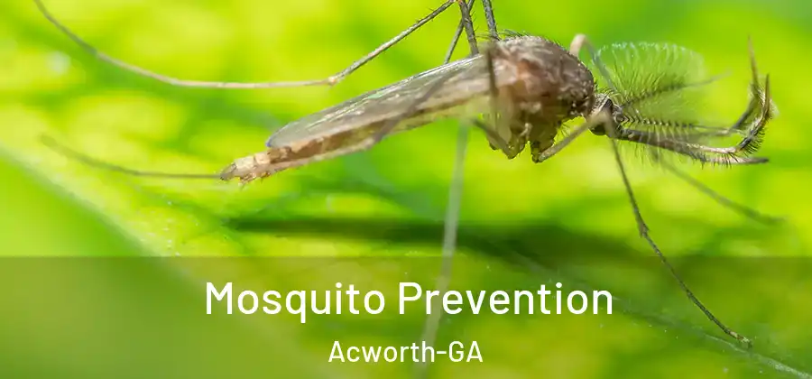  Mosquito Prevention Acworth-GA