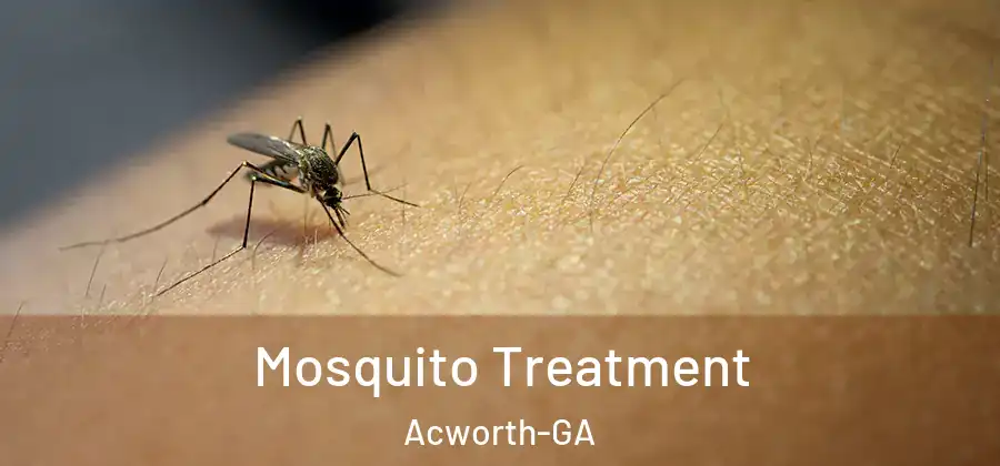  Mosquito Treatment Acworth-GA