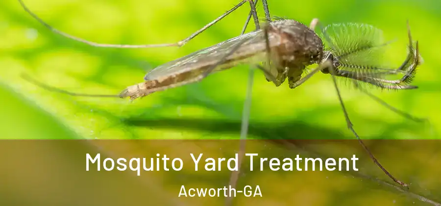  Mosquito Yard Treatment Acworth-GA