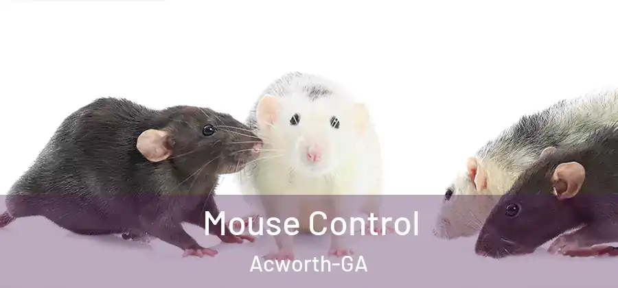 Mouse Control Acworth-GA