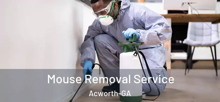 Mouse Removal Service Acworth-GA