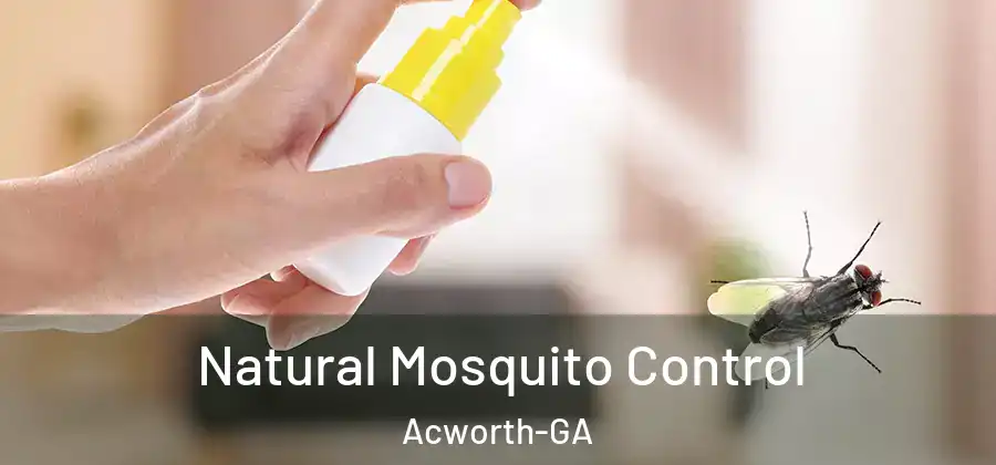  Natural Mosquito Control Acworth-GA