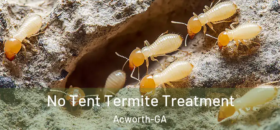  No Tent Termite Treatment Acworth-GA