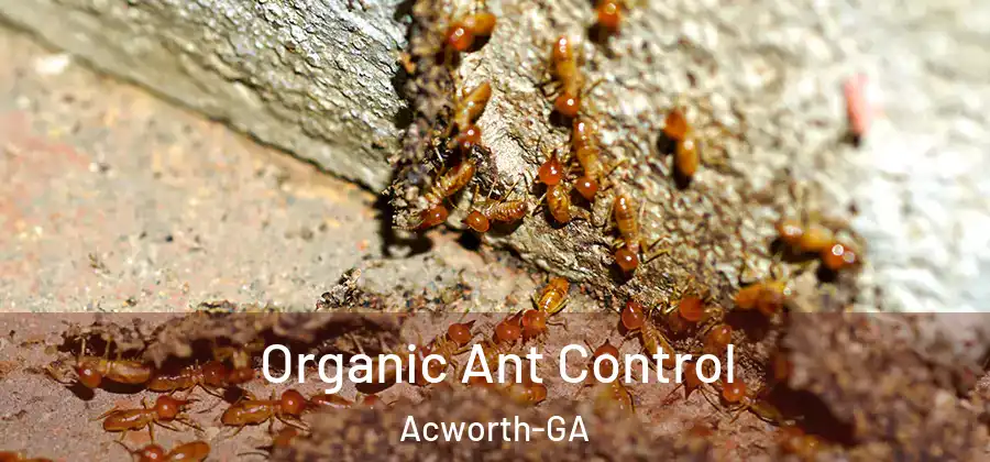  Organic Ant Control Acworth-GA
