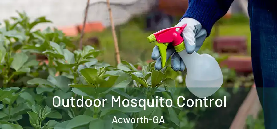 Outdoor Mosquito Control Acworth-GA