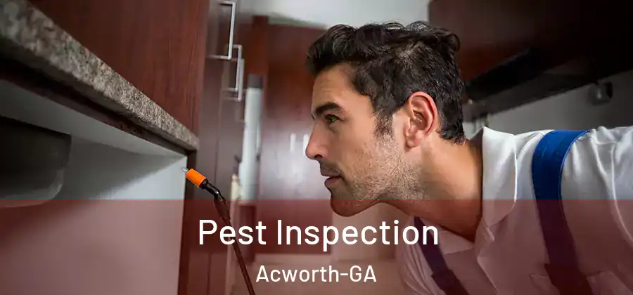  Pest Inspection Acworth-GA